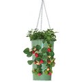Houston International Trading Houston International Trading 8395E AG Enameled Galvanized Hanging Strawberry; Floral Planter - AppleGreen 8395E AG